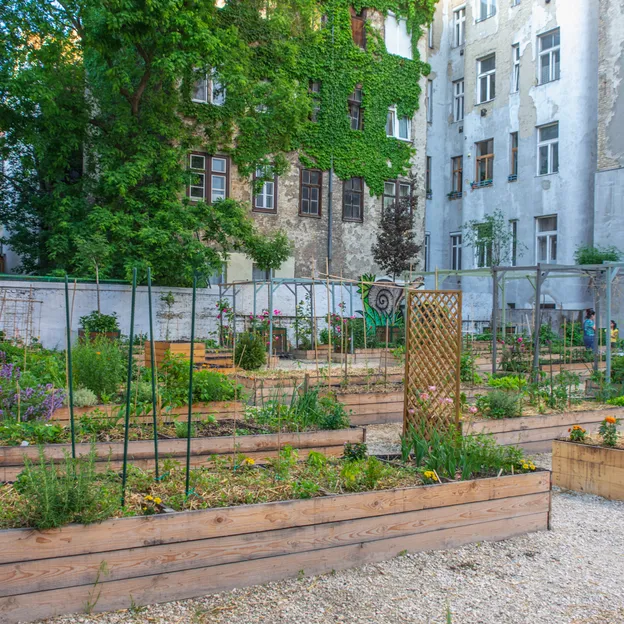 Új közösségi kert nyílik Józsefváros szívében